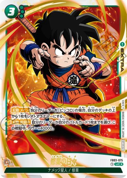 画像1: 修業の日々(FB03-075/UC☆/パラレル) (1)