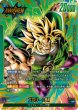 画像1: ブロリー：BR(FB06-048/L☆) (1)