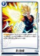 FB06-042