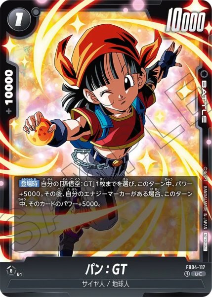 画像1: パン：GT(FB04-117/UC/リミテッド) (1)